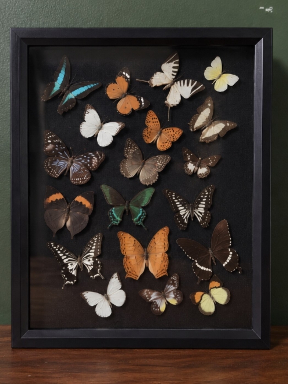 Framed Butterfly Shadow Box Wall Art in Black Frame